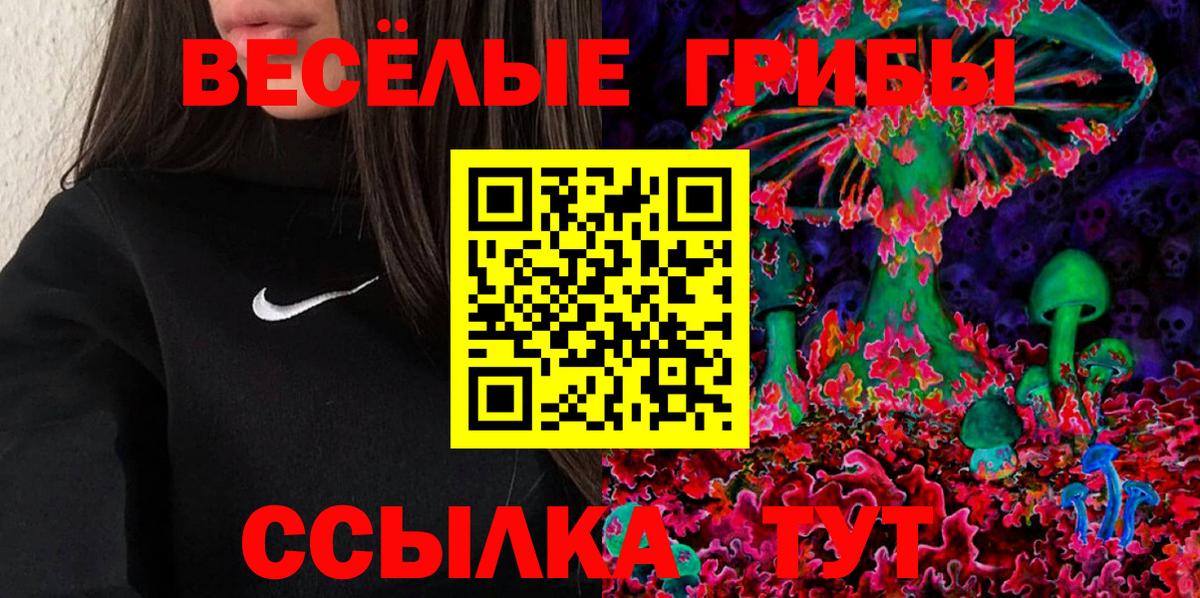 Галлюциногенные грибы Psilocybe Сочи